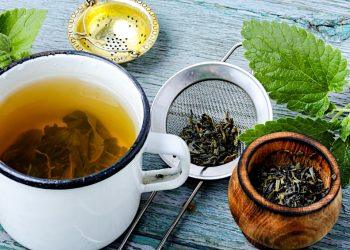 Herbal Tea Recipes – Healthy Homemade Teas from Herbs