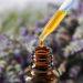 How to Make Lavender Essential Oil – DIY Lavender Oil Recipes